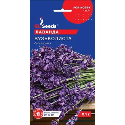 Лаванда  вузьколиста  0,1 гр 5442 GL SEEDS
