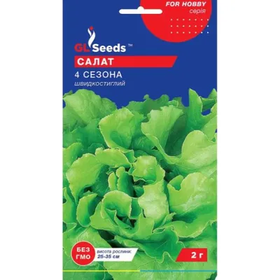 Салат качанний  4 сезони 1 г 99481 GL SEEDS