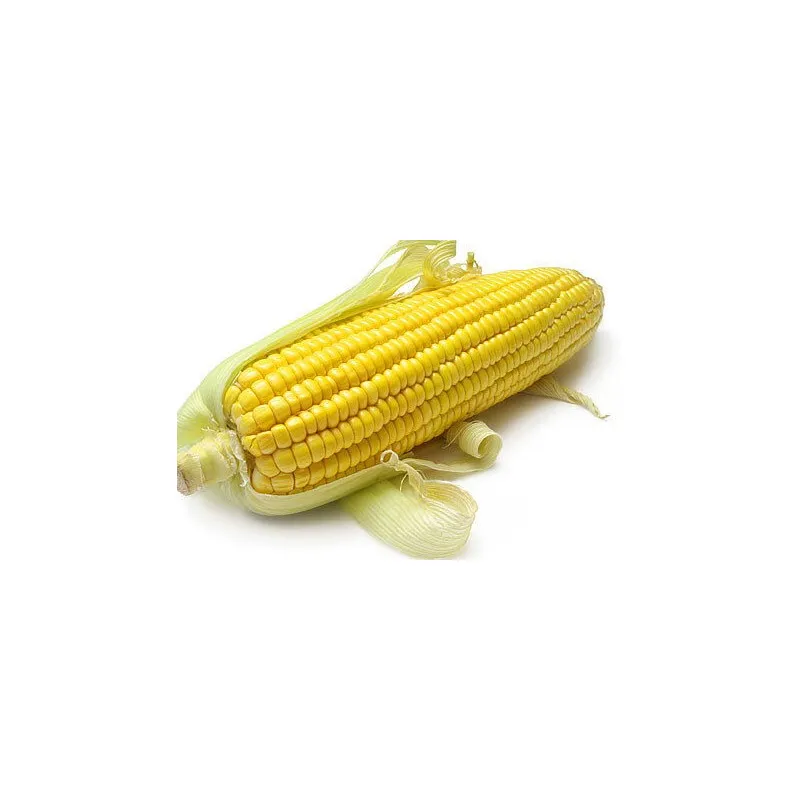 Кукурудза Данііл 1 кг 6299 