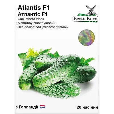 Огірок Atlantis  F1 20 шт 10207 Beste Kern