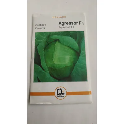 Голандія Капуста Агресор  F1  5  гр. 01048