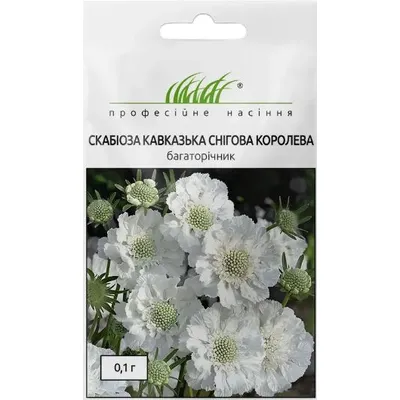 Проф насіння Скабіоза кавказька Снігова Королева 0,1г 10342