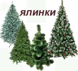 ялинки