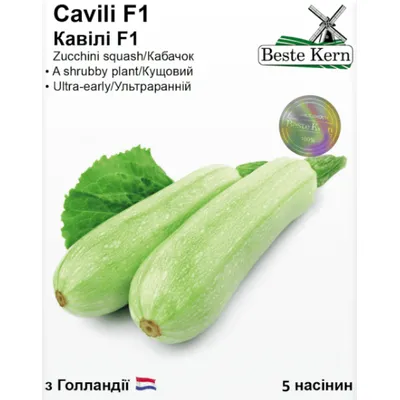 Кабачок Cavili  F1 5  шт 10220 Beste Kern