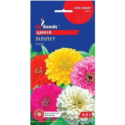 Цинія Ліліпут 0,5 г 95301 GL SEEDS