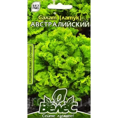 Салат  (латук) Австралійський 5 гр МАКСІ 99431 Велес