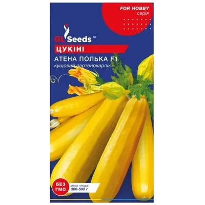 Кабачок Атена Полька F1 5 шт 48859 GL SEEDS