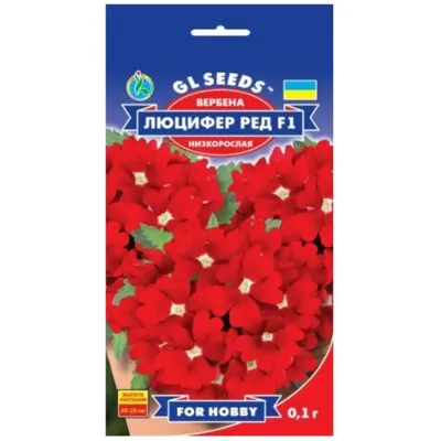 Вербена  Люцифер Ред F1 0,1 г 95147 GL SEEDS