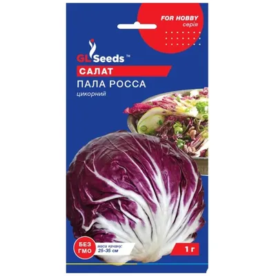 Салат Пала  Росса  цикорний 1 г 5524 GL SEEDS