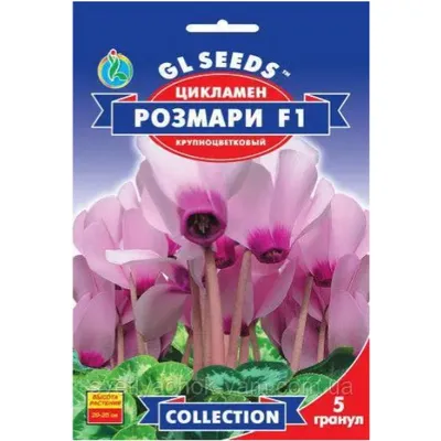 Цикламен Розмарі  F1 5 гранул 10943 GL SEEDS