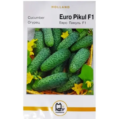 Голандія Огірок Евро Пікуль  F1 40 шт. 5  гр. 01072