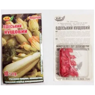 Кабачок Одеський кущовий оброблений 10 гр 95374 VIA