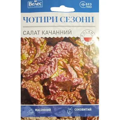Салат качанний  Чотири сезони  5 гр МАКСІ 99434 Велес