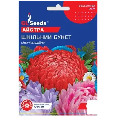 Айстра Шкільний букет 1 г 20321 GL SEEDS