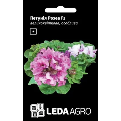 Петунія Розеа  F1  великоквіткова 10 шт LEDAAGRO 99594