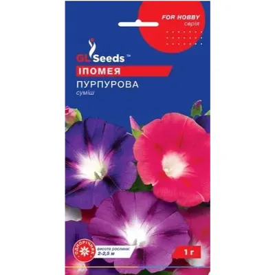 Іпомея Пурпурова  1гр 95186 GL SEEDS