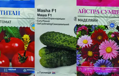 Насіння