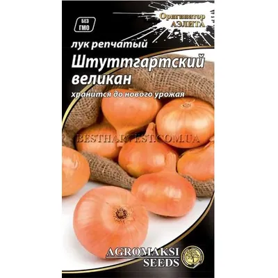 Цибуля Штуттгартський велетень 1 г 20991 Агромаксі