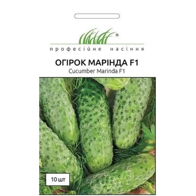 Проф насіння Огірок Марінда  F1 , 10 шт. 10080
