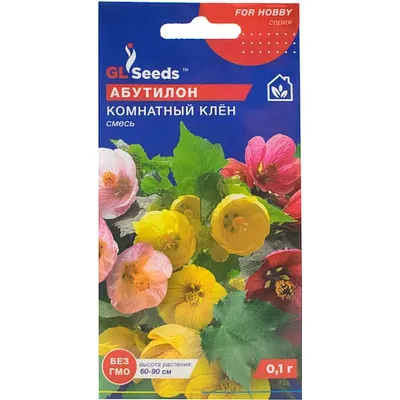 Абутилон Кімнатний клен 0,1 г 3345 GL SEEDS