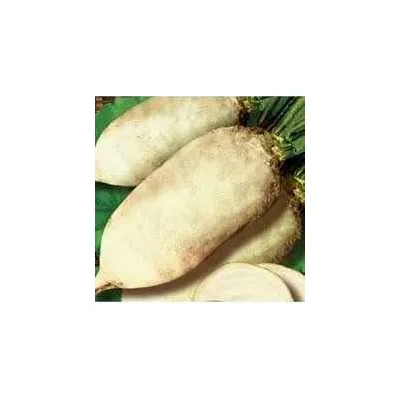 Буряк кормовий  Центаур 1кг 6297