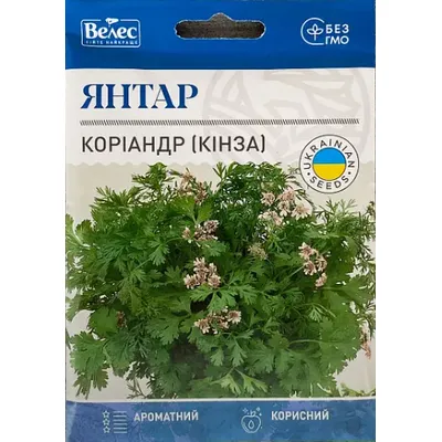 Коріандр (кінза) Янтар 20 г МАКСІ 5608 Велес
