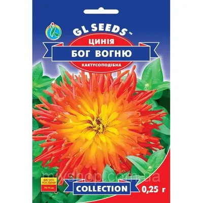 Цинія Бог вогню 0,25 г 95263 GL SEEDS