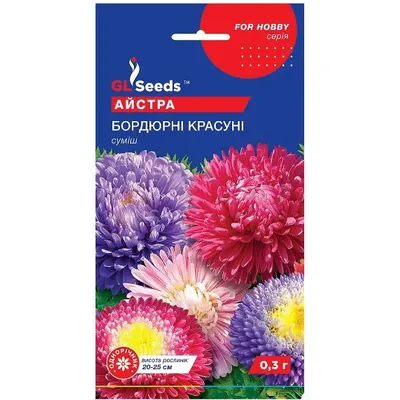 Айстра Бордюрні  красуні  0,3 г 95092 GL SEEDS