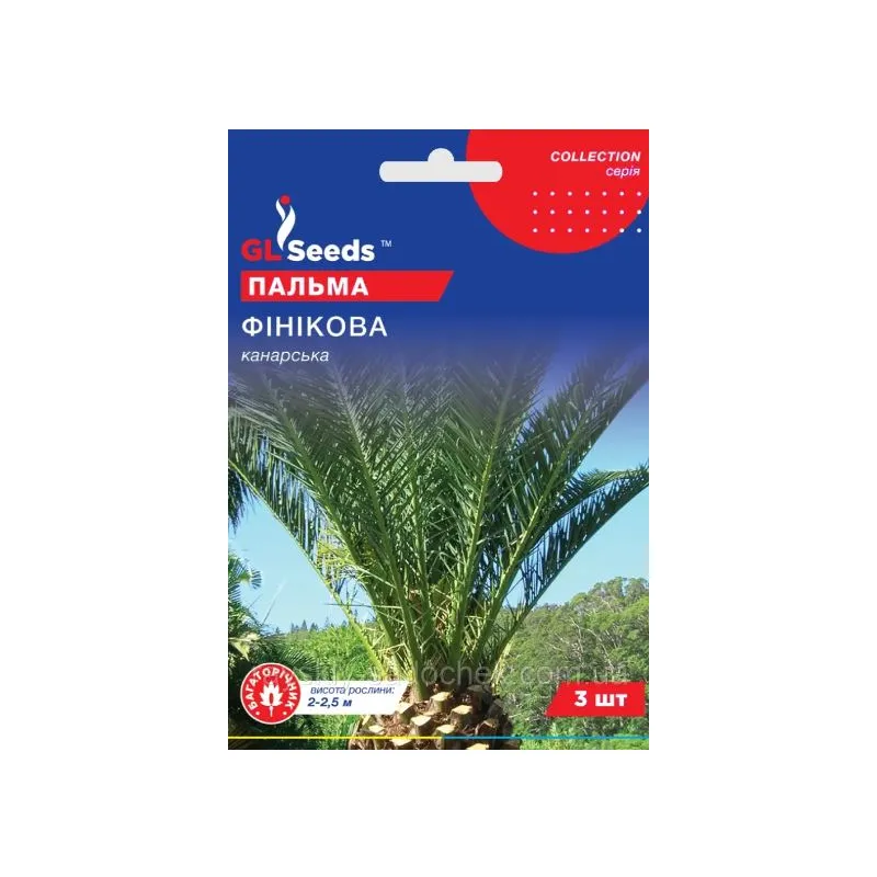 Пальма Фінікова  (канарська) 3 шт 95239 GL SEEDS 