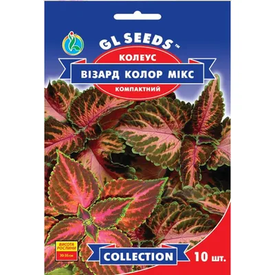 Колеус Візард Колор мікс 10 шт 99420 GL SEEDS