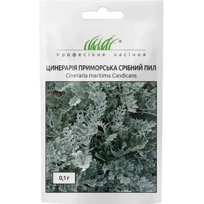 Проф насіння Цинерарія приморська Срібний пил 0,1г 10332