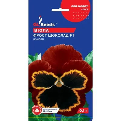 Віола Фрост шоколад F1 0,1 г багаторічна 10937 GL SEEDS