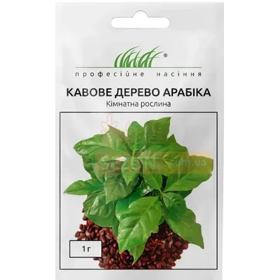 Проф насіння Кавове дерево Арабіка 1г 10281