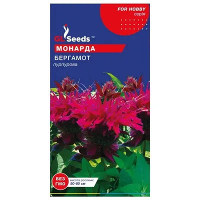 Монарда Бергамот  0,1гр 5445 GL SEEDS