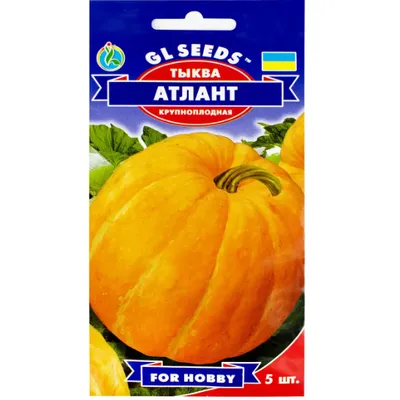 Гарбуз Атлант  5 шт 5487 GL SEEDS
