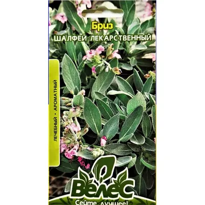 Шавлія лікарняна  Бриз 0,3 гр 99447 Велес