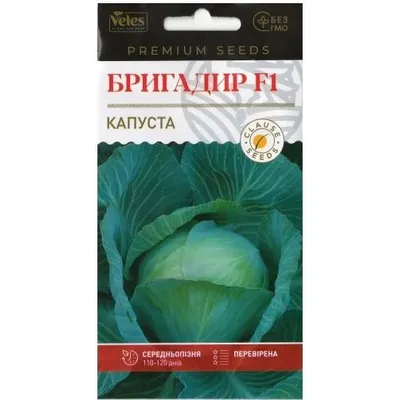 Капуста Бригадир   F1 20шт Голландія 99663 Велес