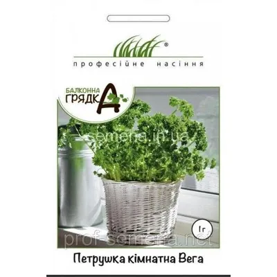 Проф насіння Петрушка кімнатна Вега   1 г. 010122