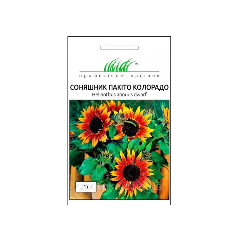 Проф насіння Соняшник Пакіто Колорадо суміш 1г 100426 