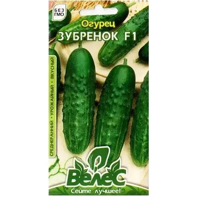 Огірок Зубренок  F1  0,5г 100259 Велес