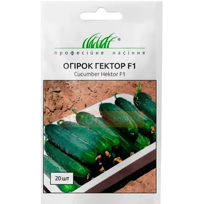 Проф насіння Огірок Гектор  F1 , 20 шт. 10085
