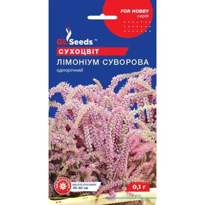 Сухоцвіт Лімоніум Суворова 0,1гр 3436 GL SEEDS