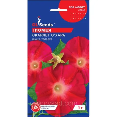Іпомея Скарлет О, Хара 1 г 3355 GL SEEDS