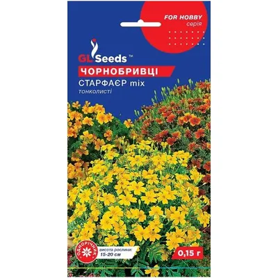 Чорнобривці Старфаєр - міх   0,15 г 5710 GL SEEDS