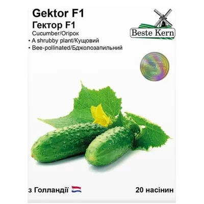 Огірок Gektor  F1 20 шт 10202 Beste Kern