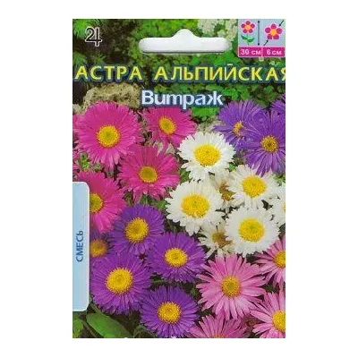 Айстра альпійська  Вітраж  багаторічна 0,25 г 95075 Велес
