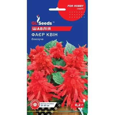 Шавлія Фаєр Квін 0,1 г 3447 GL SEEDS