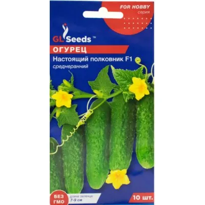 Огірок Справжній полковник  F1  10 шт 5193 GL SEEDS