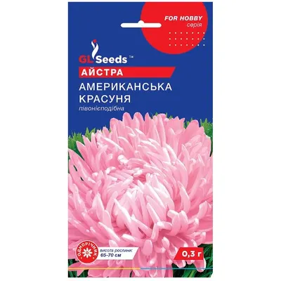 Айстра Американська  красуня  0,3 г 95088 GL SEEDS