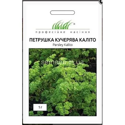 Проф насіння Петрушка кучерява Каліто 1 г. 7035